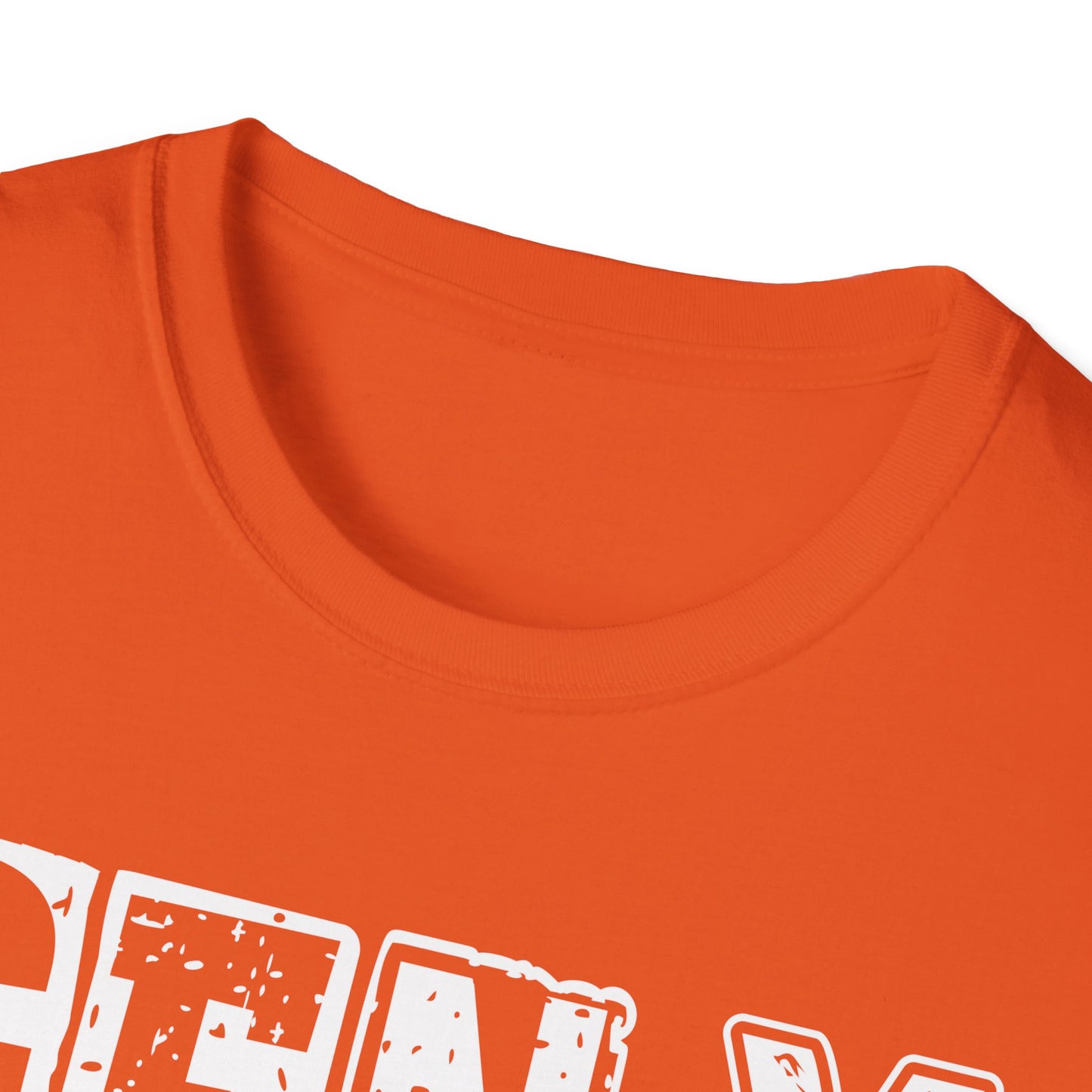 Gen X T-Shirt - Raised on Hose Water & Neglect, Unisex Softstyle Tee
