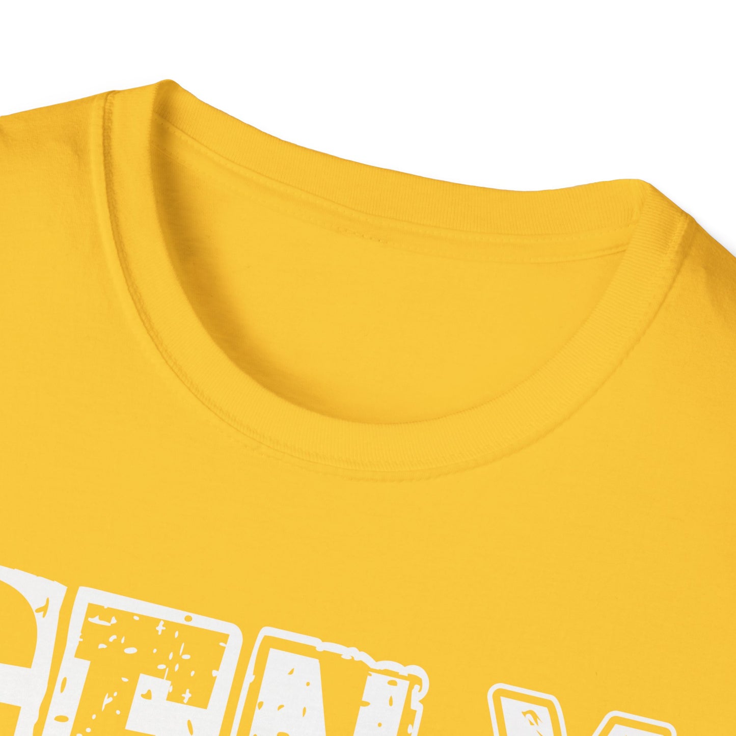 Gen X T-Shirt - Raised on Hose Water & Neglect, Unisex Softstyle Tee
