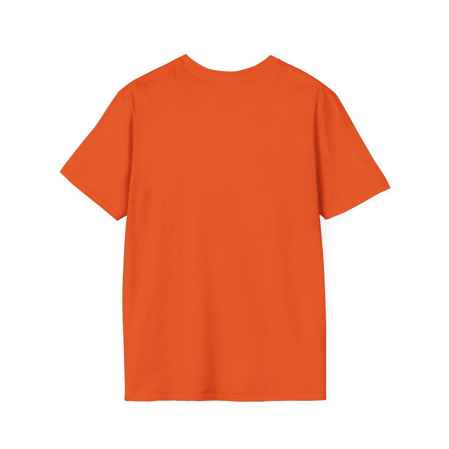 Gen X T-Shirt - Raised on Hose Water & Neglect, Unisex Softstyle Tee