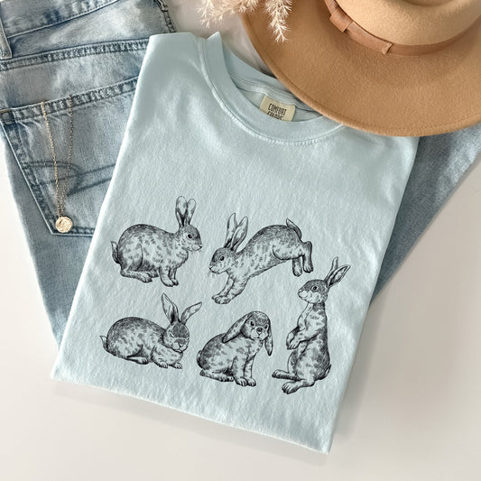 Vintage Easter Bunnies, Rabbit Comfort Colors Tshirt